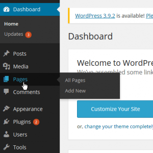WordPress side panel. Pages tab highlighted. 